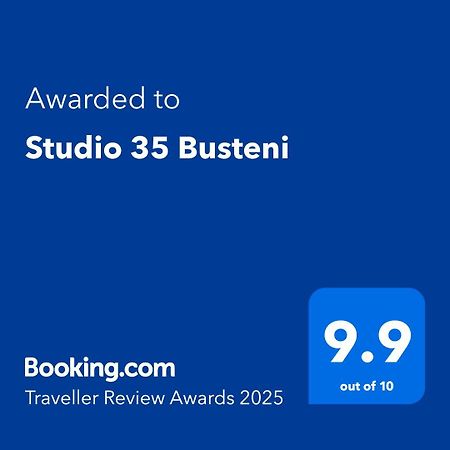 Studio 35 Buşteni 外观 照片
