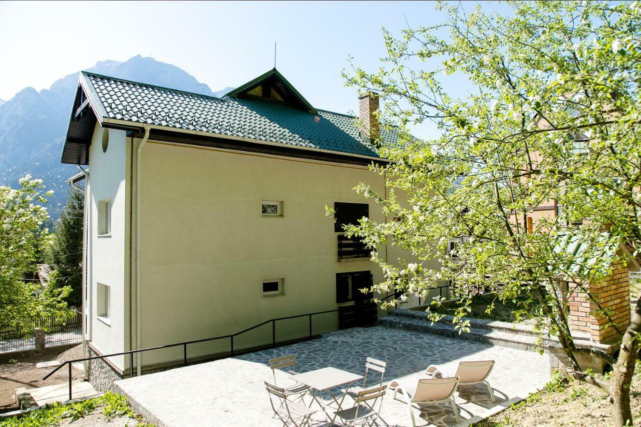 Studio 35 Buşteni 外观 照片