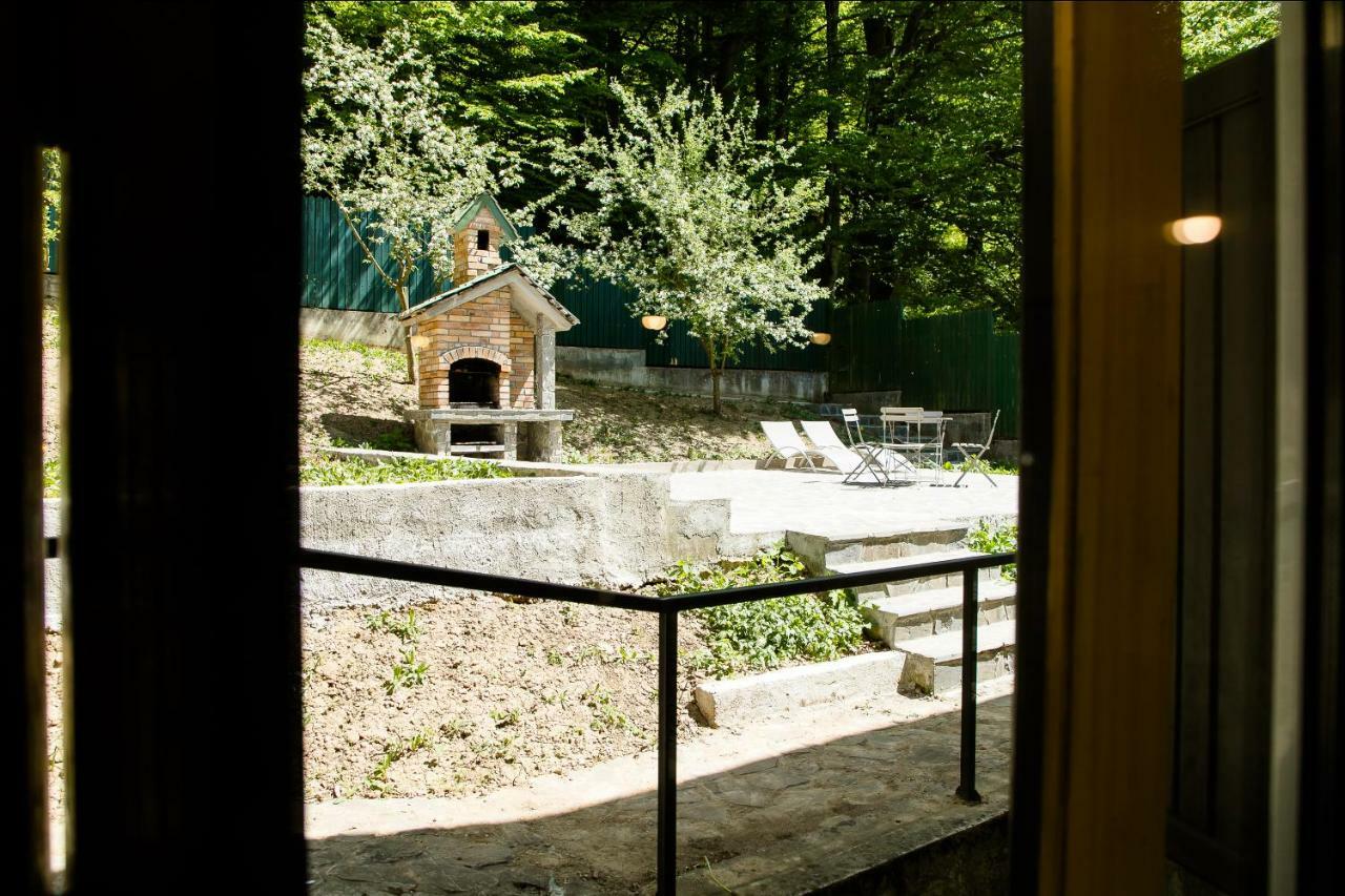 Studio 35 Buşteni 外观 照片