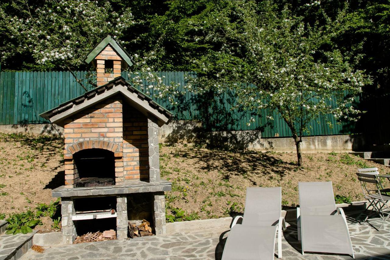 Studio 35 Buşteni 外观 照片